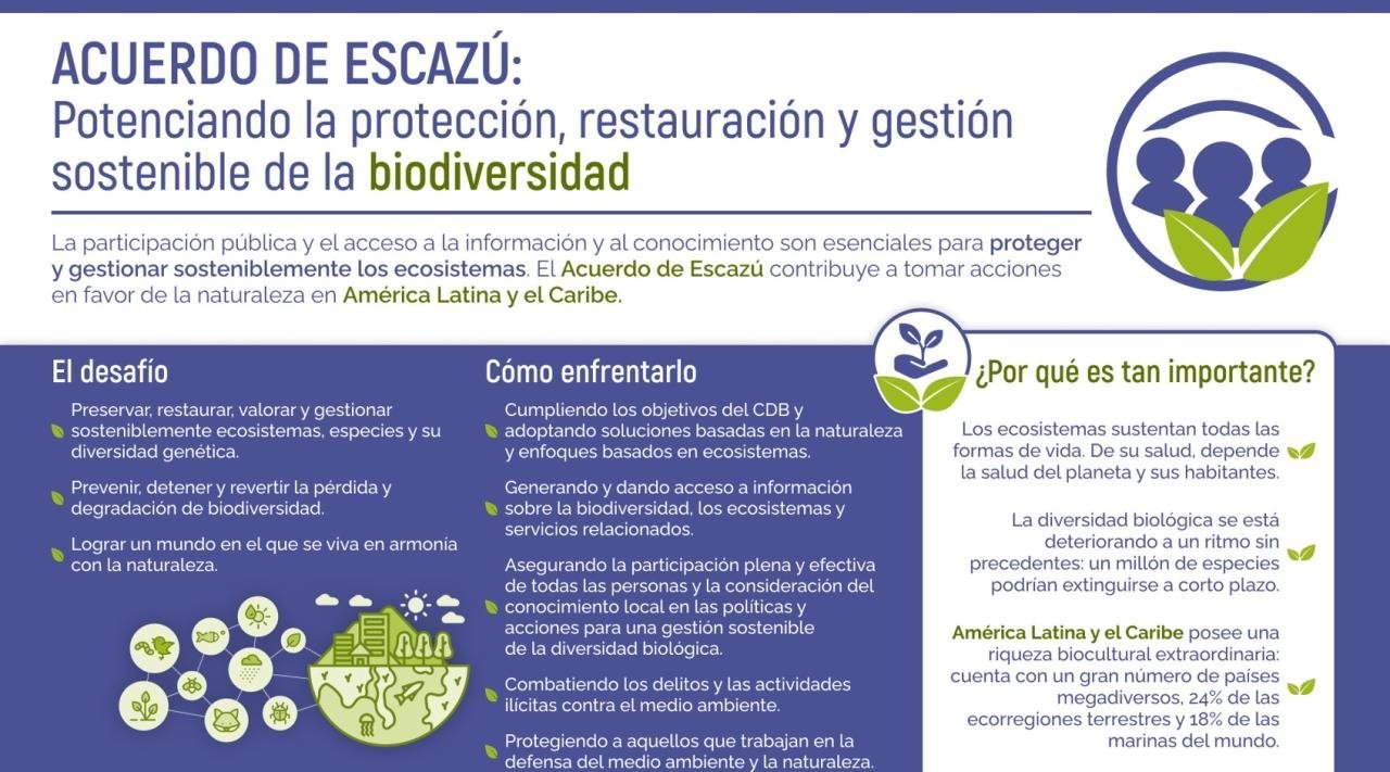 Los derechos humanos y los acuerdos de Escazú