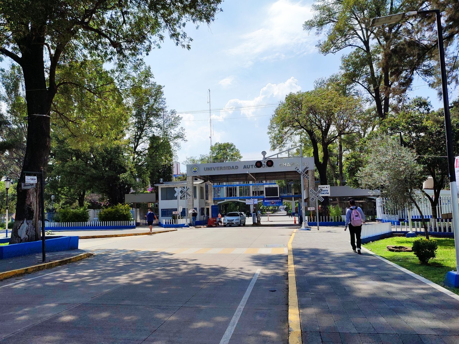 Chapingo, lejos del Top 100 mundial de las universidades de agronomía