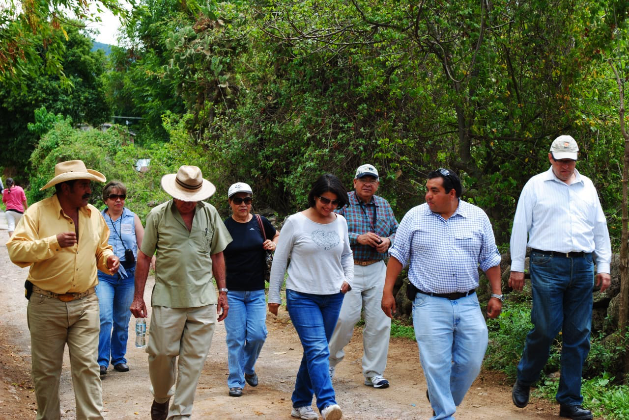 Participación ciudadana y gobernanza, democratizando el espacio público